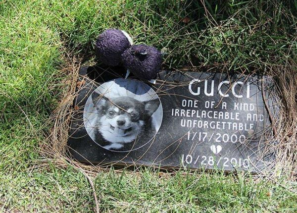 Вы будете жить вечно в наших сердцах: фотографии кладбища домашних животных в Лос-Анджелесе
