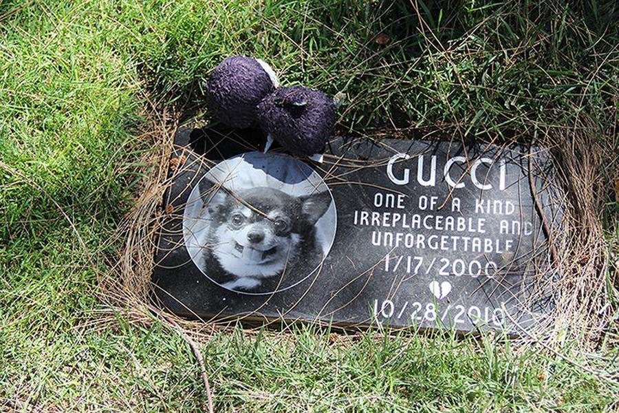 Фотография: Вы будете жить вечно в наших сердцах: фотографии кладбища домашних животных в Лос-Анджелесе №2 - BigPicture.ru