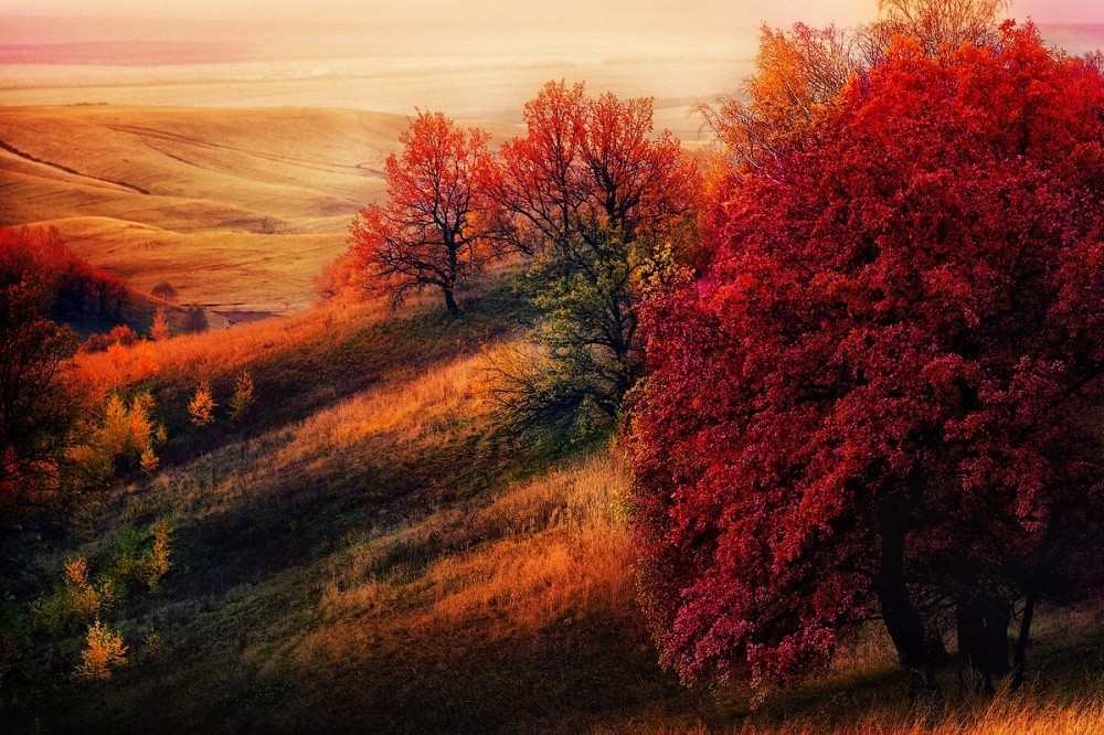 Фотография: 15 мест, где осень особенно прекрасна №2 - BigPicture.ru
