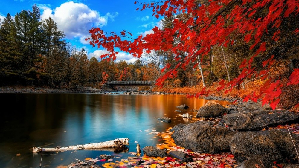 Фотография: 15 мест, где осень особенно прекрасна №15 - BigPicture.ru