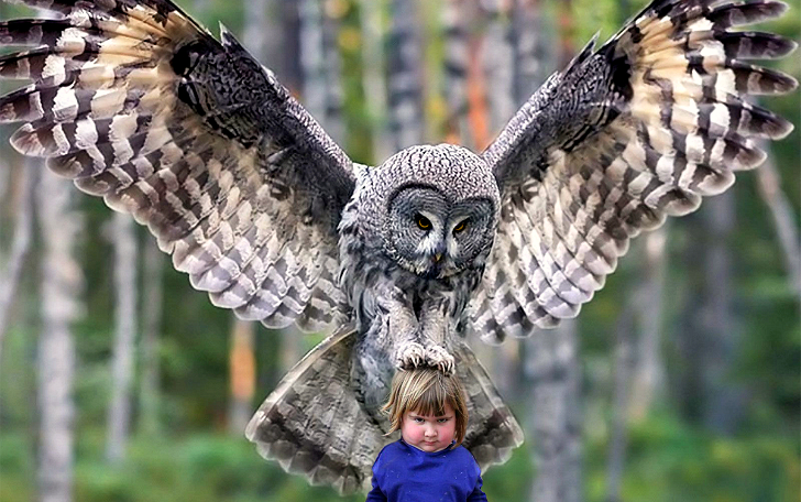 Фотография: Пользователи Reddit оттоптались на демонической девочке с совой №1 - BigPicture.ru