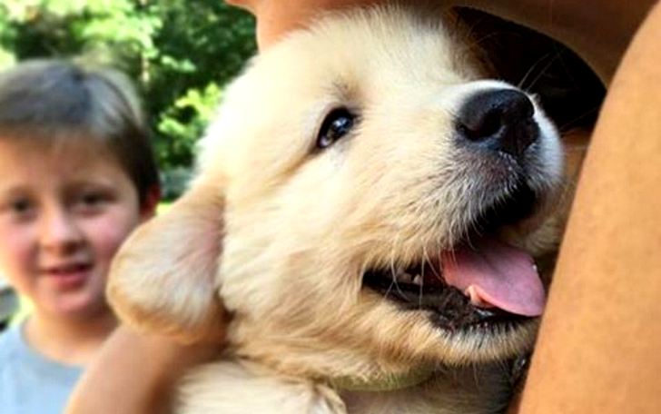 Фотография: Самые милые щеночки на свете — в одном инстаграме! №1 - BigPicture.ru