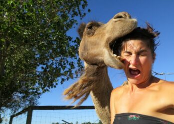 20 фотографий, сделанных за секунду до неизбежного