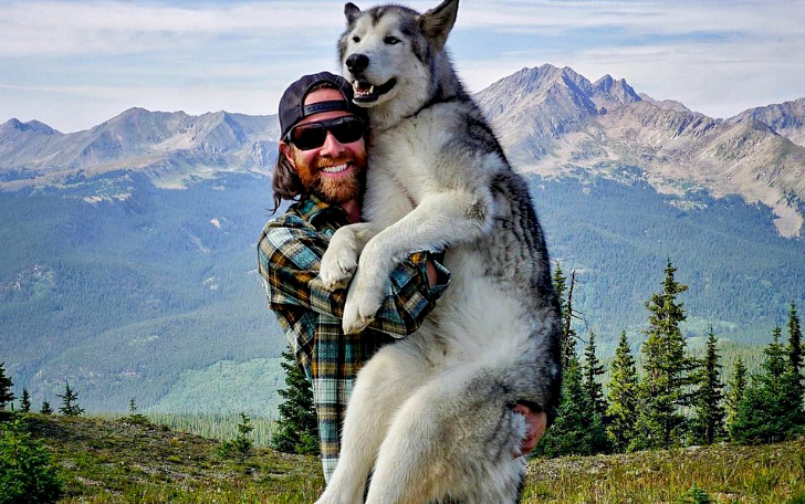 Фотография: Гибрид собаки и волка Локи и его приключения №1 - BigPicture.ru
