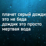Ужасно смешные и вместе с тем грустные стихи «депрессяшки»