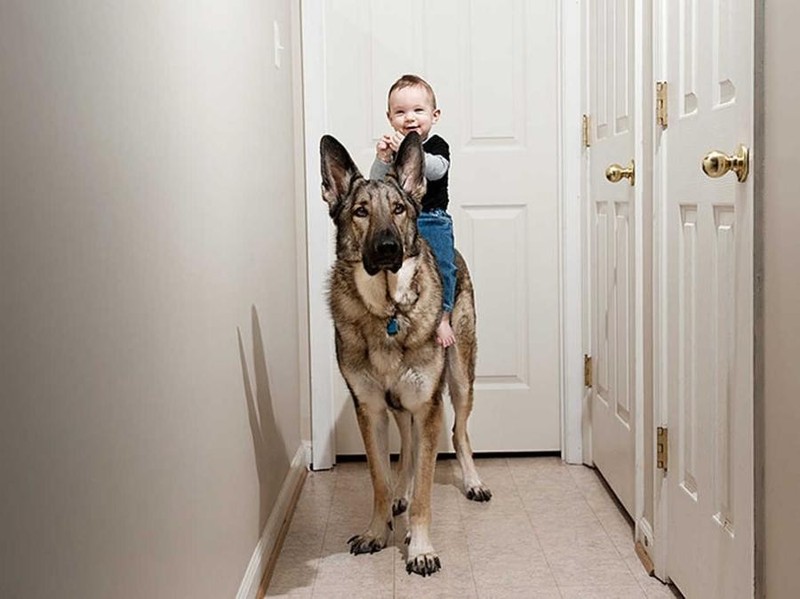 Фотография: Боже, помоги мне быть таким человеком, каким меня считает моя собака №11 - BigPicture.ru