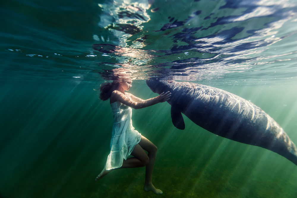Фотография: Магия под водой №6 - BigPicture.ru