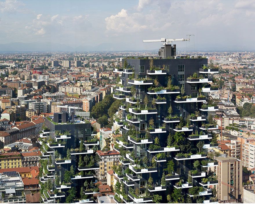 Фотография: 117-метровая башня станет первым в мире зданием, покрытым вечнозелеными деревьями №6 - BigPicture.ru
