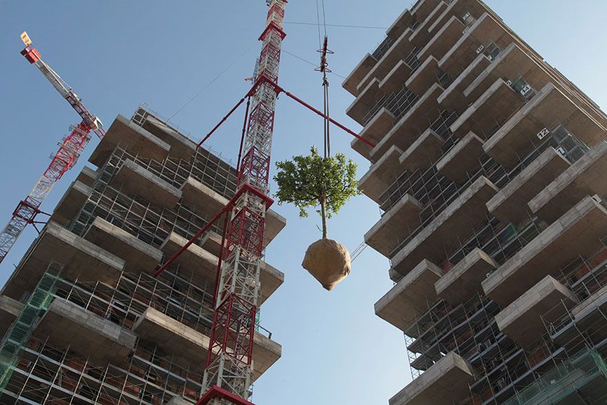 Фотография: 117-метровая башня станет первым в мире зданием, покрытым вечнозелеными деревьями №7 - BigPicture.ru