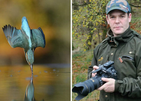После 6 лет и 720 тысяч попыток фотограф сделал идеальный снимок зимородка