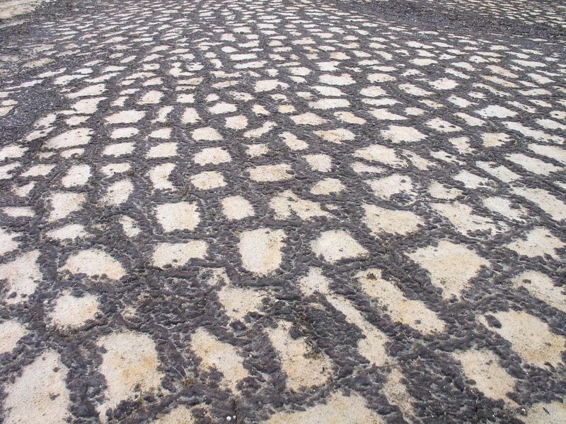 Фотография: Что происходит с почвой, когда она то замерзает, то оттаивает №2 - BigPicture.ru