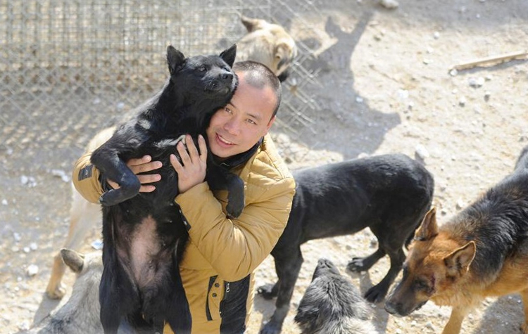 Фотография: Китайский миллионер разорился из-за собак №5 - BigPicture.ru