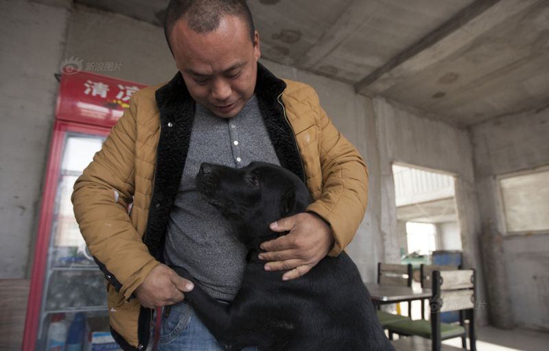 Фотография: Китайский миллионер разорился из-за собак №8 - BigPicture.ru