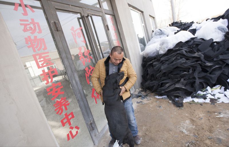 Фотография: Китайский миллионер разорился из-за собак №9 - BigPicture.ru
