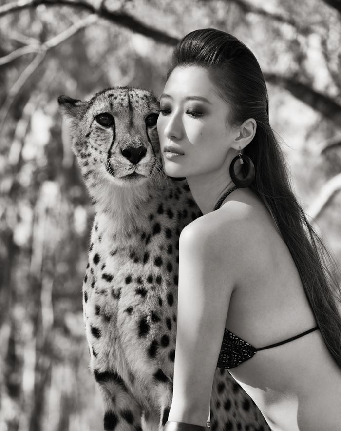 Удивительные портреты азиатских моделей и знаменитостей с дикими животными