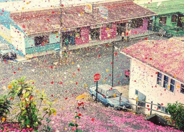 Город в Коста-Рике заполнили 8 миллионов цветочных лепестков