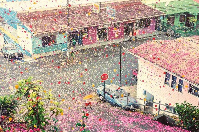 Фотография: Город в Коста-Рике заполнили 8 миллионов цветочных лепестков №1 - BigPicture.ru