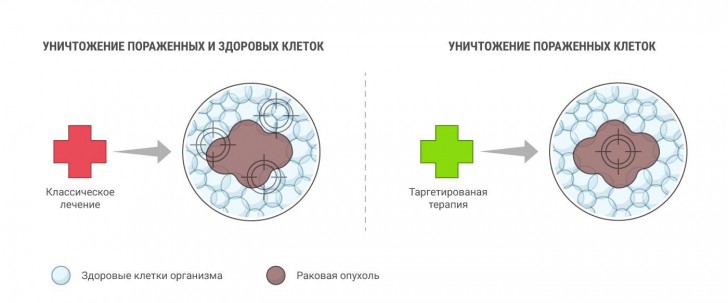 Фотография: Молекулы, которых не было, или Как вылечить рак с помощью математики №1 - BigPicture.ru