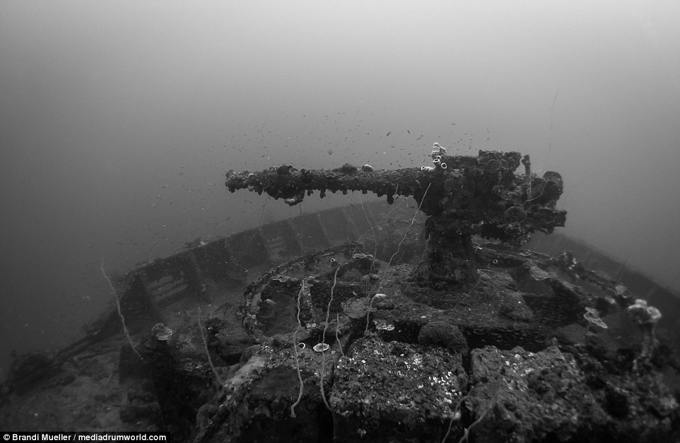 Фотография: Подводное кладбище Японии: снимки затопленной техники времен Второй мировой №14 - BigPicture.ru