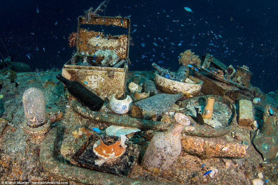 Фотография: Подводное кладбище Японии: снимки затопленной техники времен Второй мировой №5 - BigPicture.ru