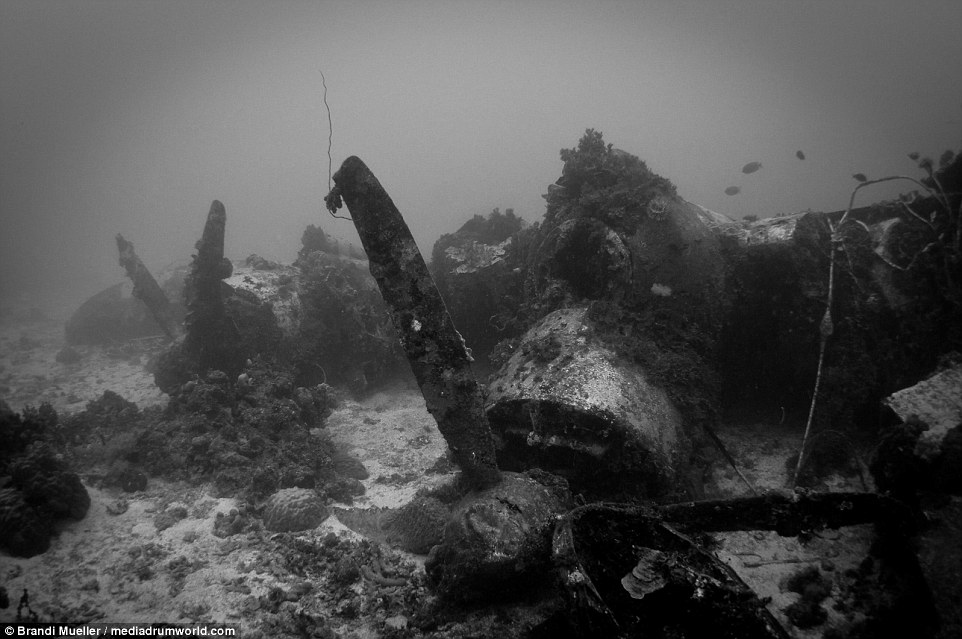 Фотография: Подводное кладбище Японии: снимки затопленной техники времен Второй мировой №7 - BigPicture.ru
