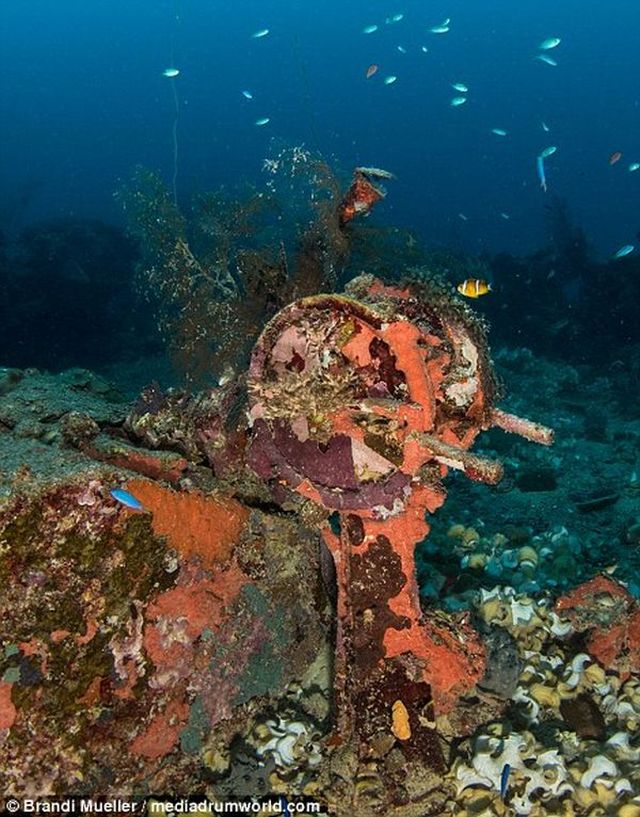 Фотография: Подводное кладбище Японии: снимки затопленной техники времен Второй мировой №13 - BigPicture.ru