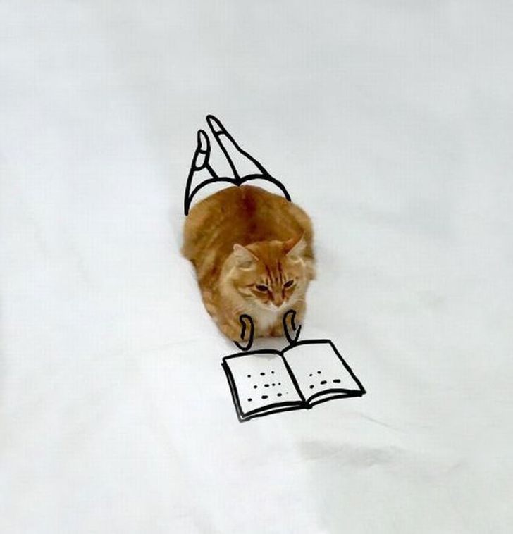 Фотография: Невероятные приключения одной рыжей кошки №2 - BigPicture.ru