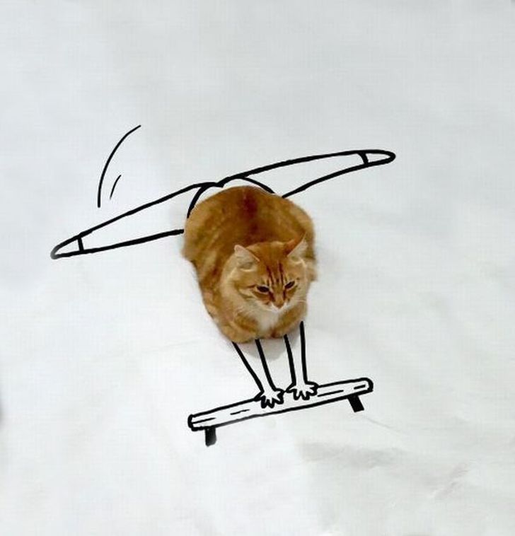 Фотография: Невероятные приключения одной рыжей кошки №4 - BigPicture.ru