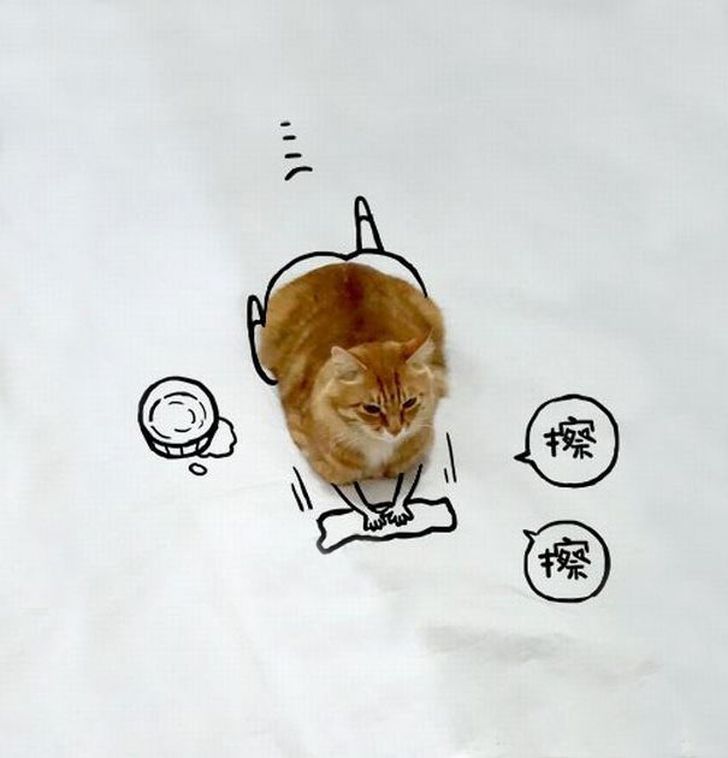 Фотография: Невероятные приключения одной рыжей кошки №6 - BigPicture.ru
