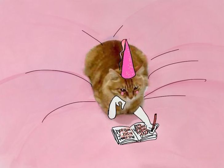 Фотография: Невероятные приключения одной рыжей кошки №1 - BigPicture.ru