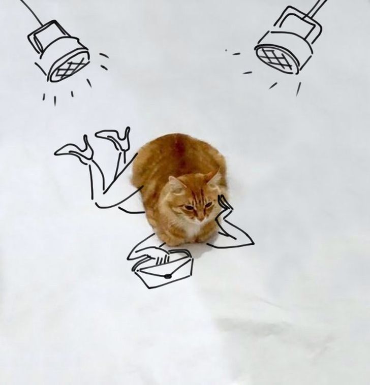 Фотография: Невероятные приключения одной рыжей кошки №12 - BigPicture.ru