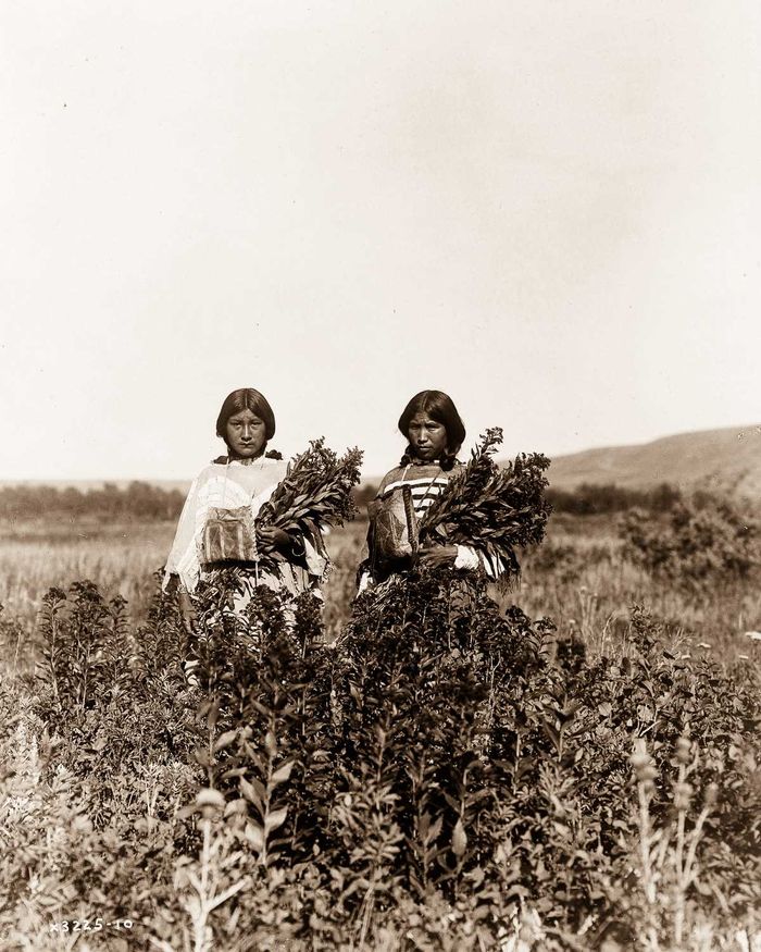 Фотография: 1904-1924 годы: жизнь североамериканских индейцев в фотографиях Эдварда Кёртиса №9 - BigPicture.ru