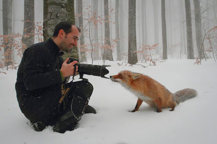 Фотография: Почему фотограф дикой природы — лучшая работа на свете №2 - BigPicture.ru
