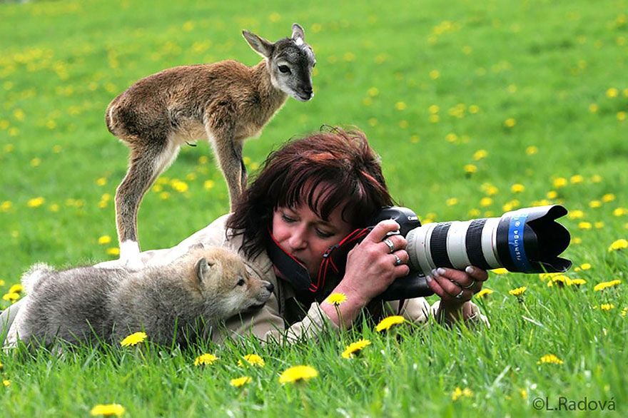 Фотография: Почему фотограф дикой природы — лучшая работа на свете №9 - BigPicture.ru