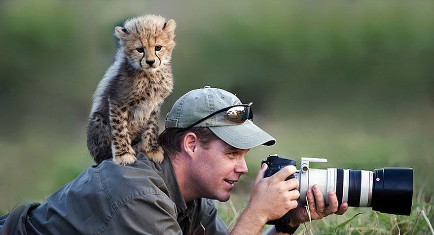 Фотография: Почему фотограф дикой природы — лучшая работа на свете №10 - BigPicture.ru