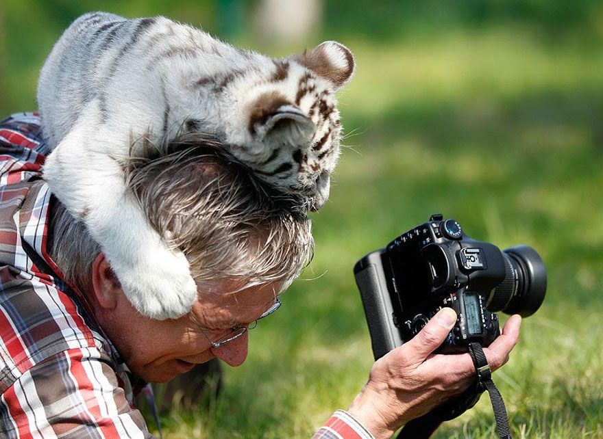 Почему фотограф дикой природы — лучшая работа на свете