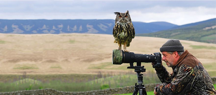 Фотография: Почему фотограф дикой природы — лучшая работа на свете №15 - BigPicture.ru