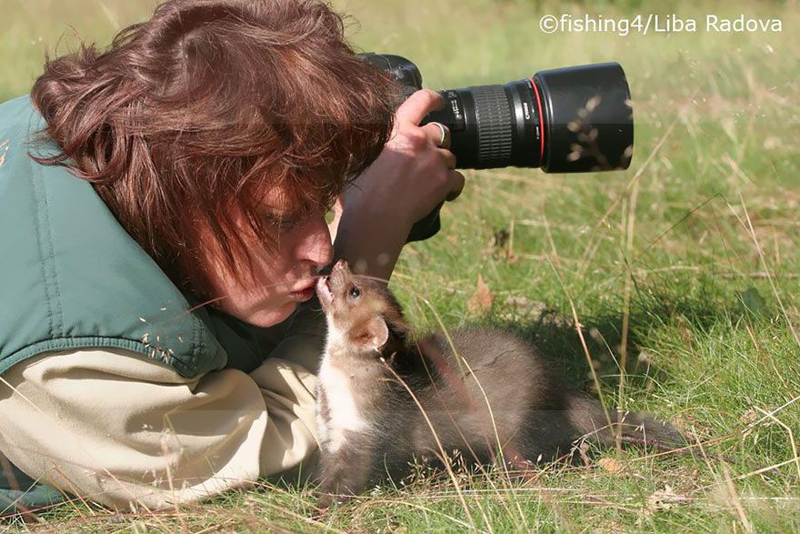 Почему фотограф дикой природы — лучшая работа на свете
