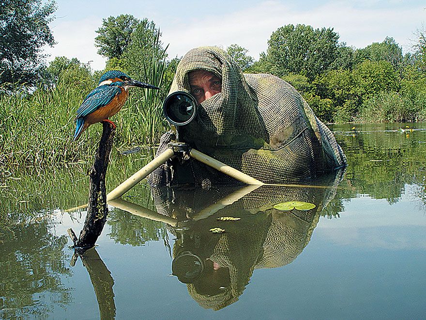 Фотография: Почему фотограф дикой природы — лучшая работа на свете №23 - BigPicture.ru