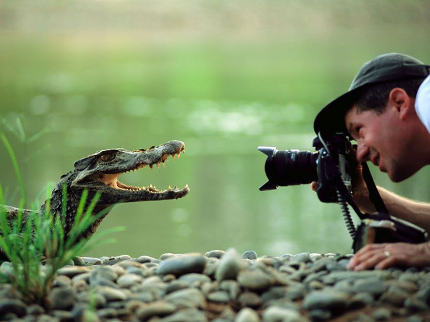 Фотография: Почему фотограф дикой природы — лучшая работа на свете №27 - BigPicture.ru