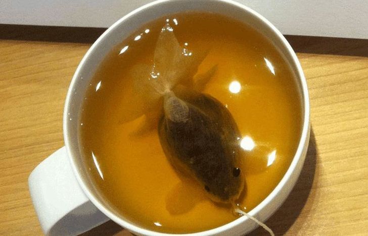 Фотография: Чайные пакетики, превращающиеся в чашке в золотых рыбок №2 - BigPicture.ru