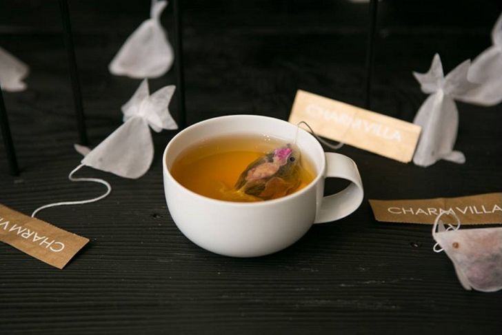 Фотография: Чайные пакетики, превращающиеся в чашке в золотых рыбок №5 - BigPicture.ru