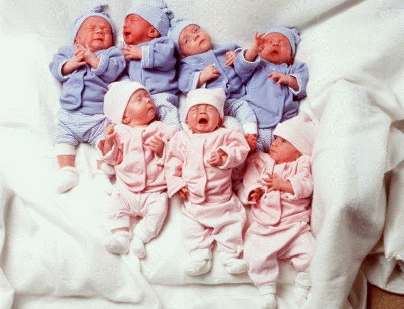 Фотография: Первым в мире семерняшкам исполнилось 18 лет! Вот как они выглядят сегодня №2 - BigPicture.ru