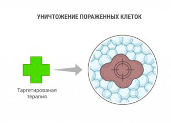 Молекулы, которых не было, или Как вылечить рак с помощью математики