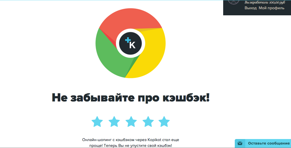 Фотография: Как сэкономить на интернет-покупках с Копикот.ру? №8 - BigPicture.ru