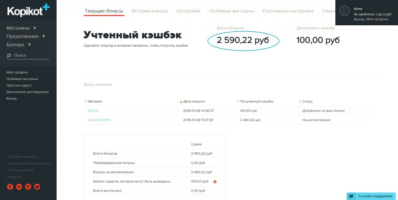 Фотография: Как сэкономить на интернет-покупках с Копикот.ру? №7 - BigPicture.ru