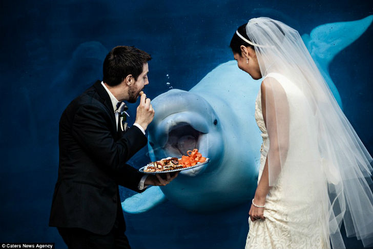 Фотография: 25 свадебных фотографий, которые любая невеста предпочла бы сжечь №5 - BigPicture.ru