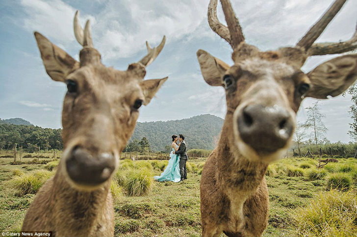 Фотография: 25 свадебных фотографий, которые любая невеста предпочла бы сжечь №2 - BigPicture.ru