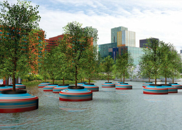 В Роттердаме появится плавающий лес