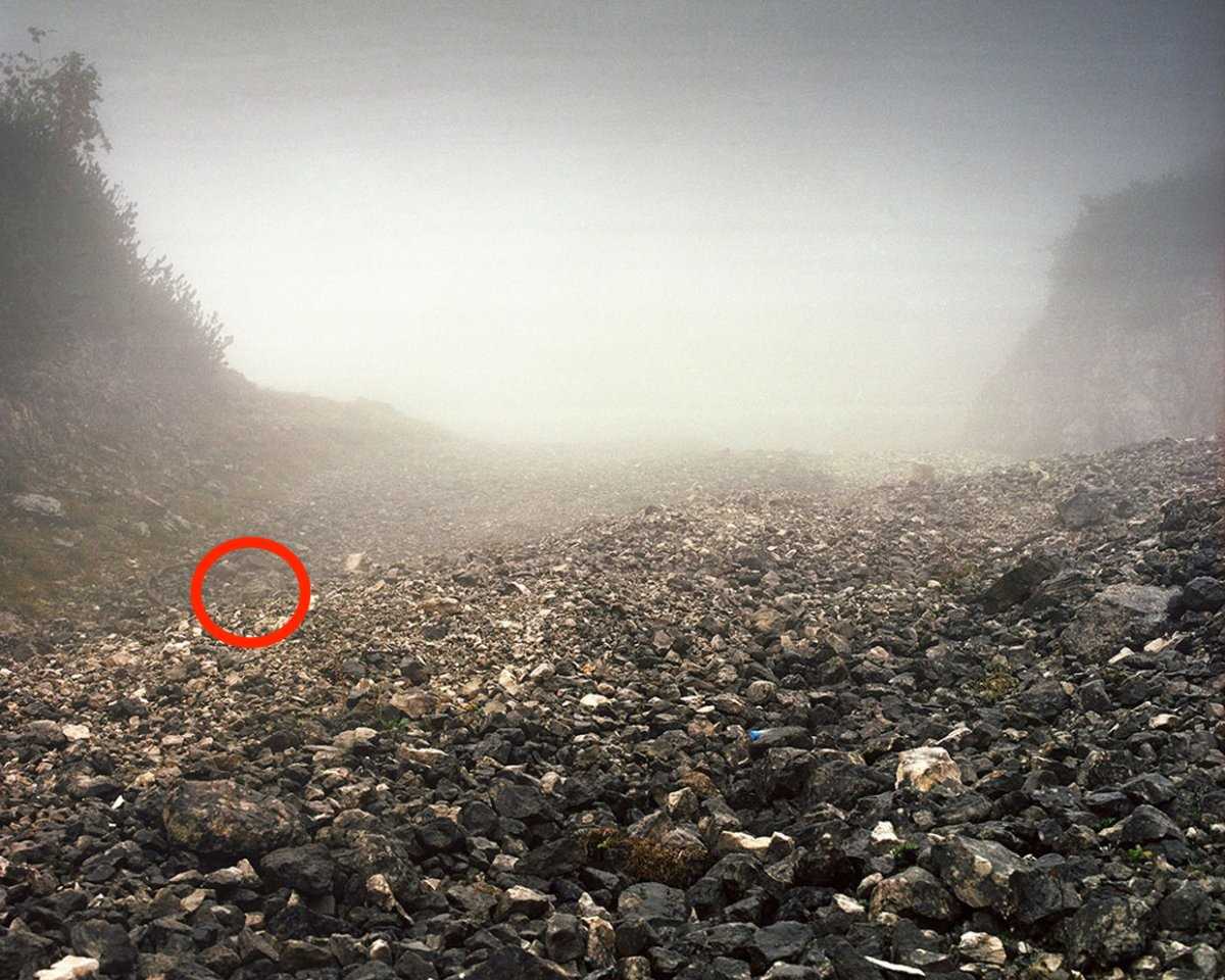 Фотография: Сможете ли вы увидеть замаскированного немецкого снайпера, прицелившегося прямо в вас? №9 - BigPicture.ru
